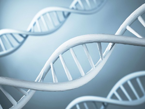 Your DNA Can Now Be Used Against You In Court Without Your Consent