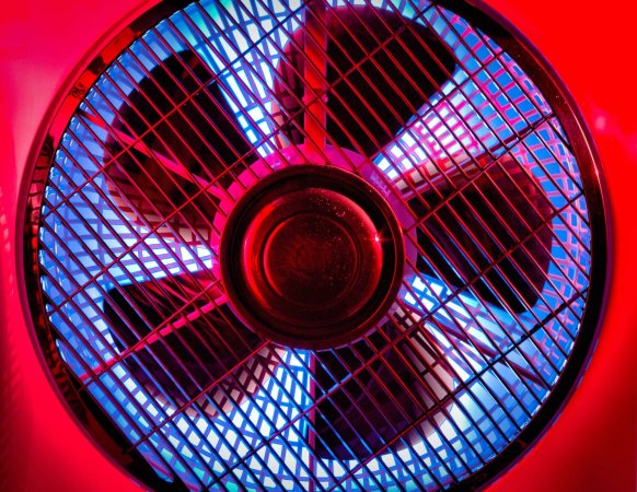 Fan