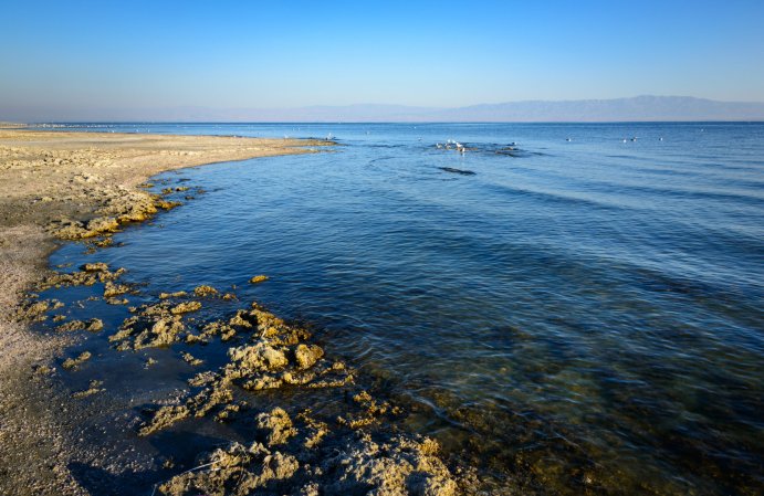 Coast of Salton Sea in California