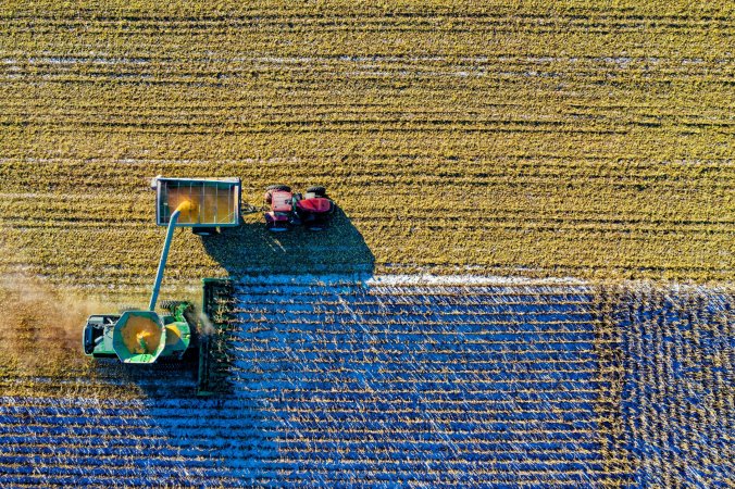 Crop field