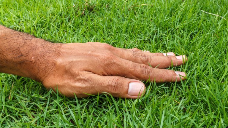 a hand touching grass