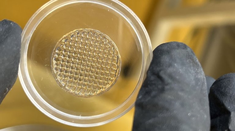a gloved hand hold circular hydrogel