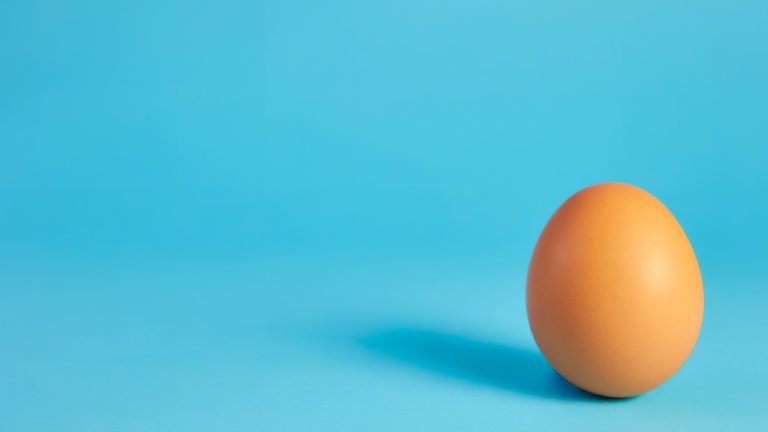 brown egg on blue background